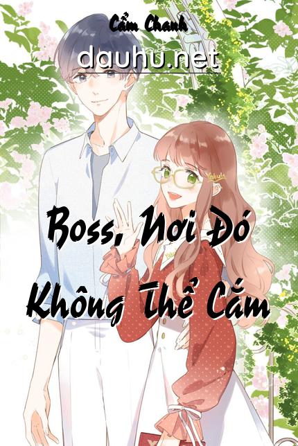 boss-noi-do-khong-the-cam
