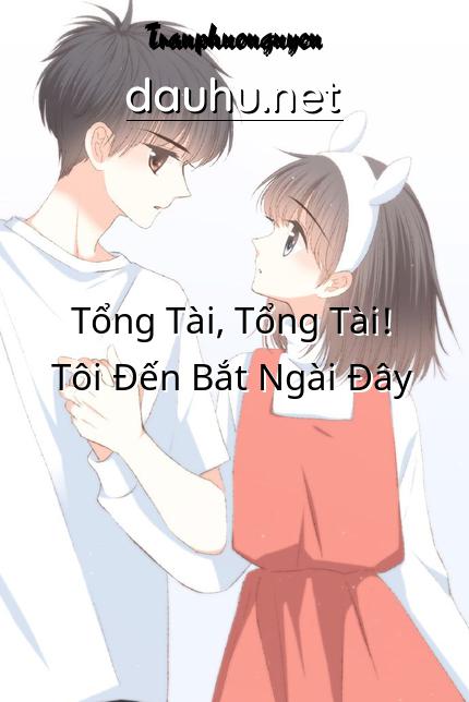 tong-tai-tong-tai-toi-den-bat-ngai-day